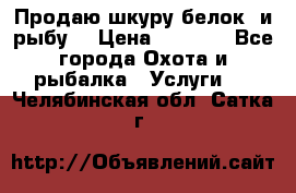 Продаю шкуру белок  и рыбу  › Цена ­ 1 500 - Все города Охота и рыбалка » Услуги   . Челябинская обл.,Сатка г.